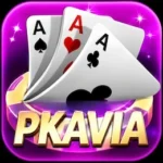 PKAVIA Game